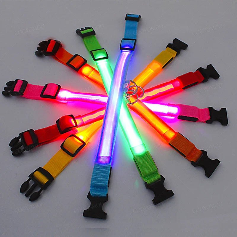 LED PET Safety Halo Style Collar