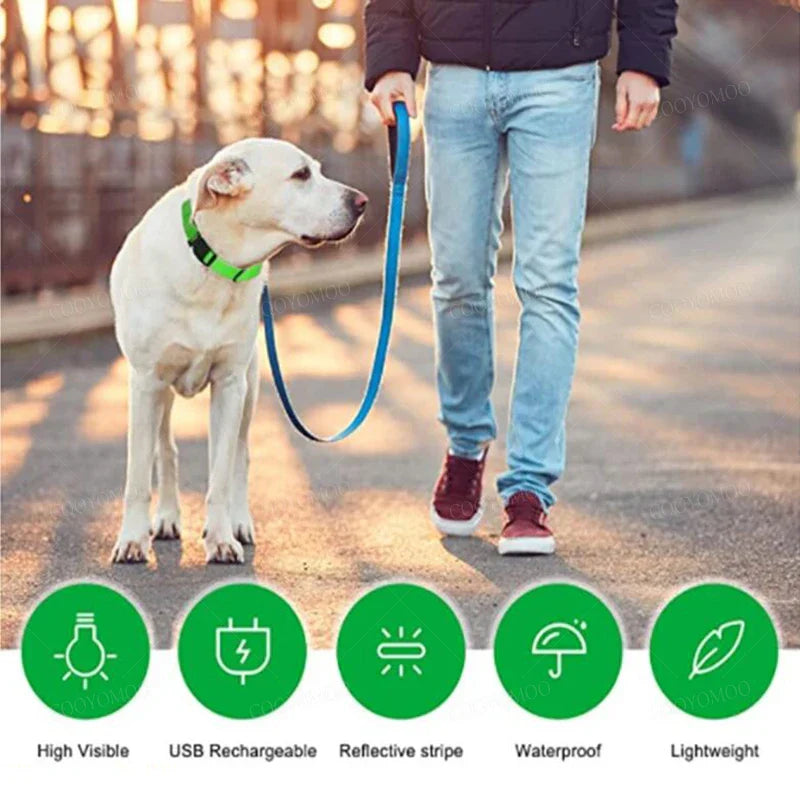 LED PET Safety Halo Style Collar