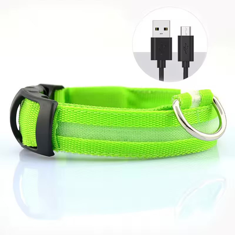 LED PET Safety Halo Style Collar