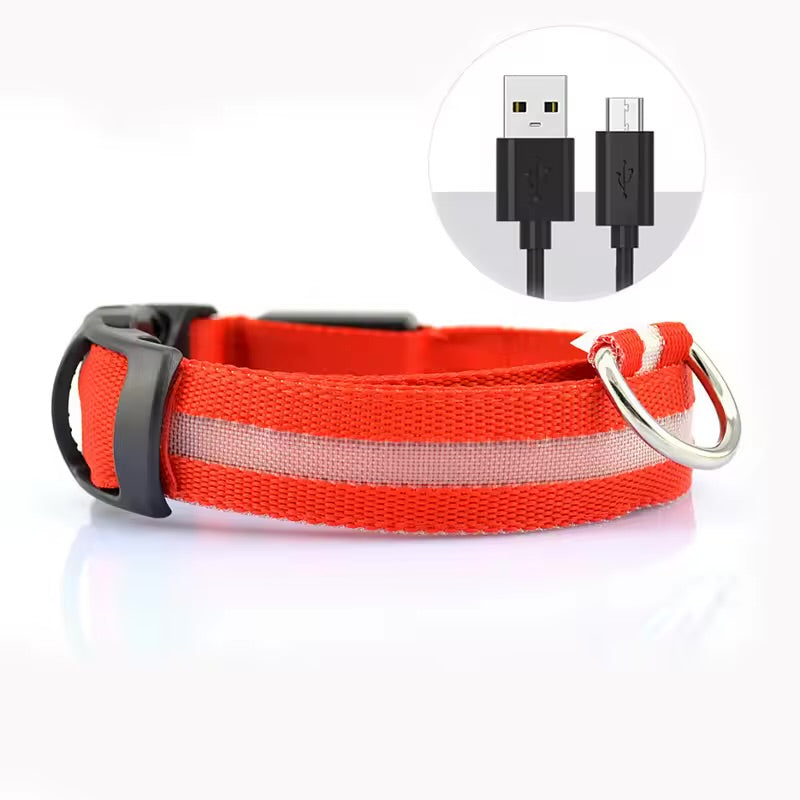 LED PET Safety Halo Style Collar