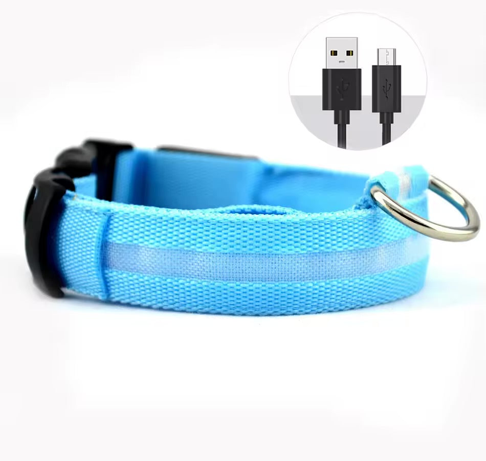 LED PET Safety Halo Style Collar