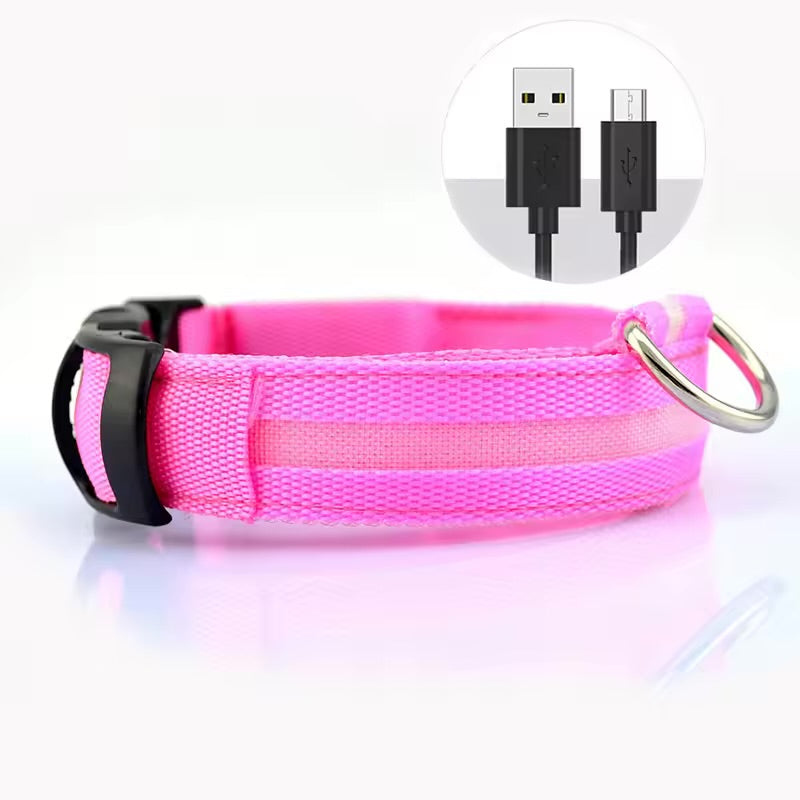 LED PET Safety Halo Style Collar