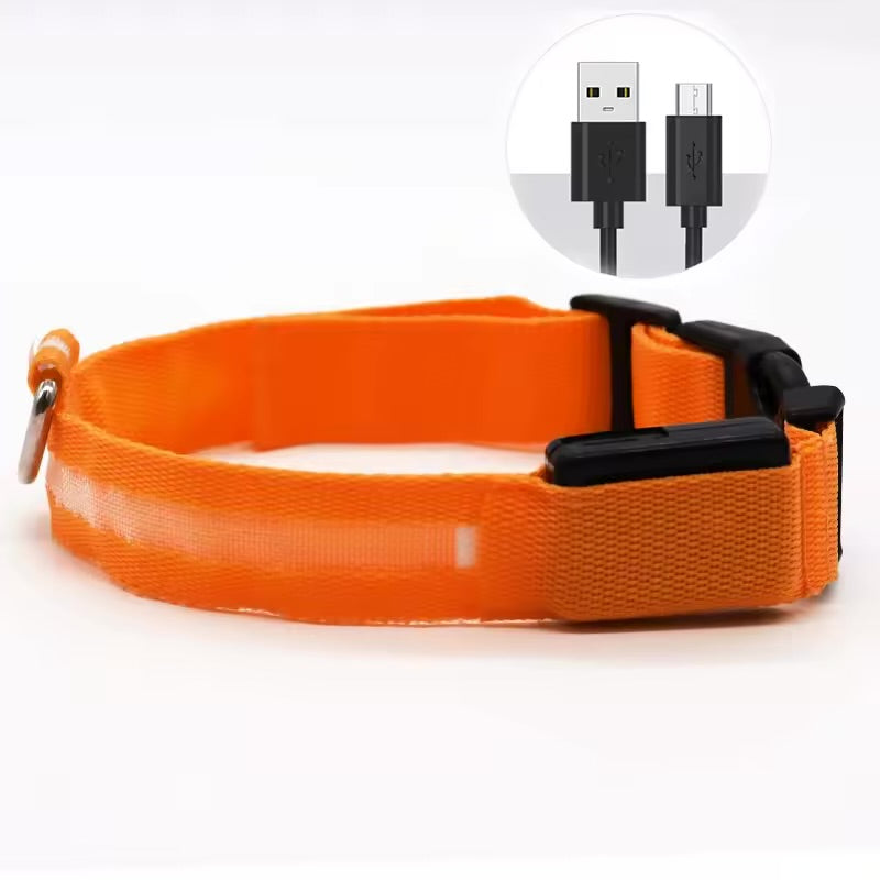 LED PET Safety Halo Style Collar