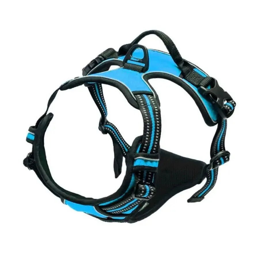 Dog Harness Collar Set