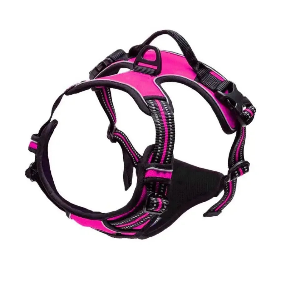 Dog Harness Collar Set