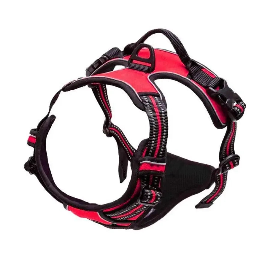 Dog Harness Collar Set