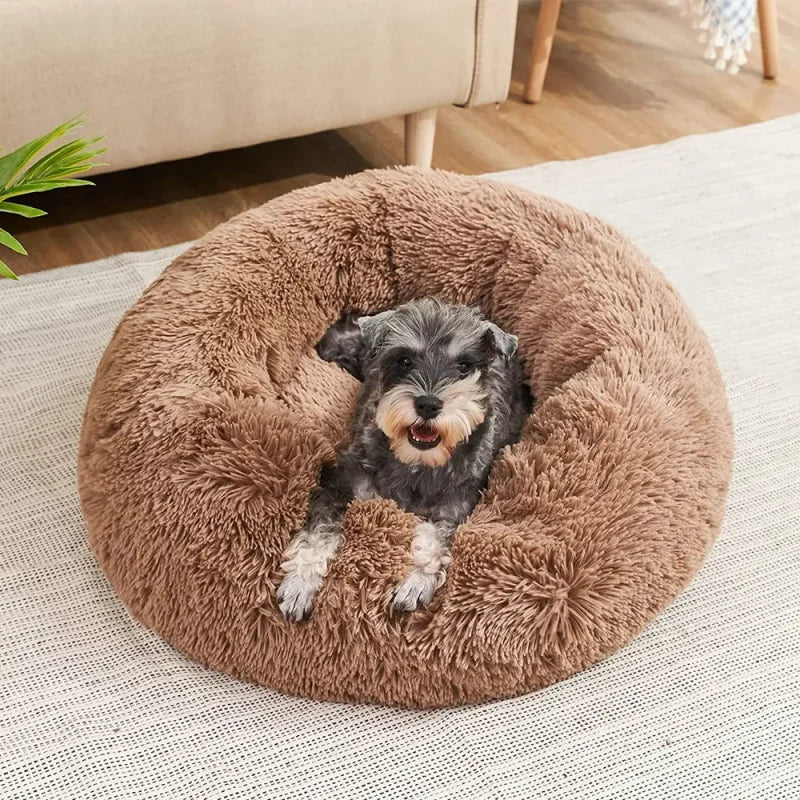 Plush Donut Cat Dog Bed