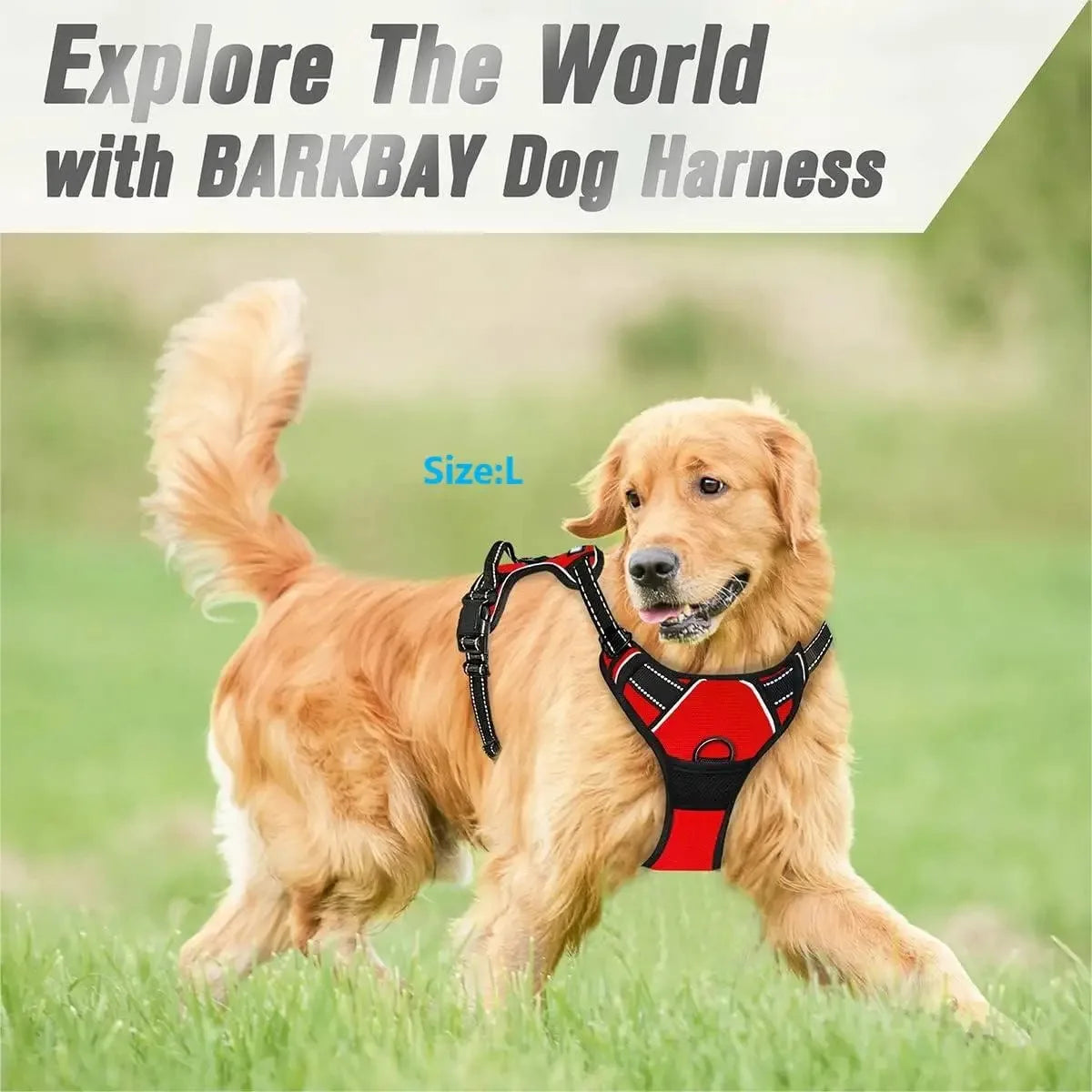 Dog Harness Collar Set