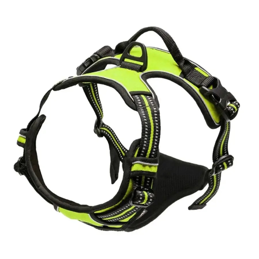 Dog Harness Collar Set