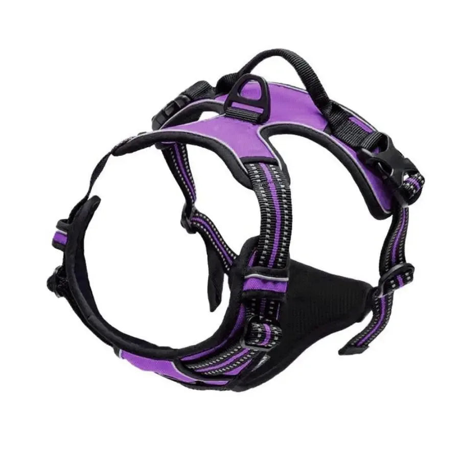 Dog Harness Collar Set