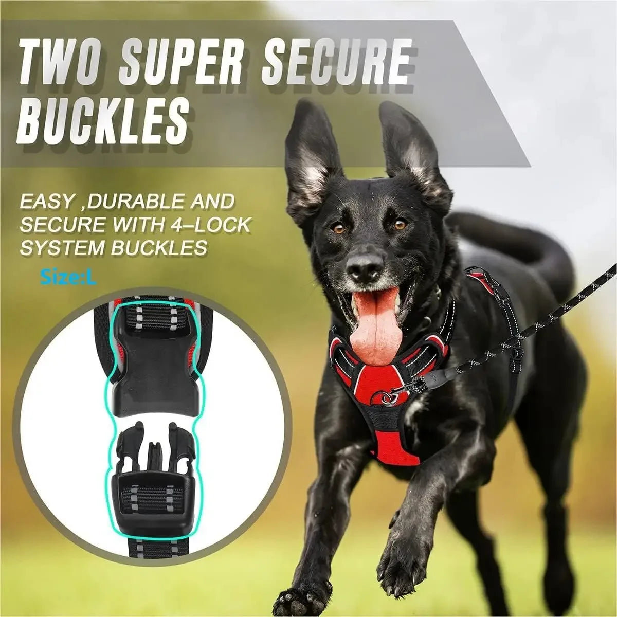 Dog Harness Collar Set