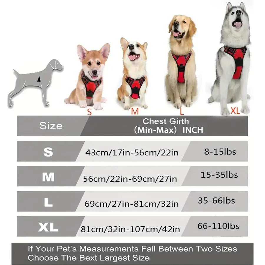 Dog Harness Collar Set