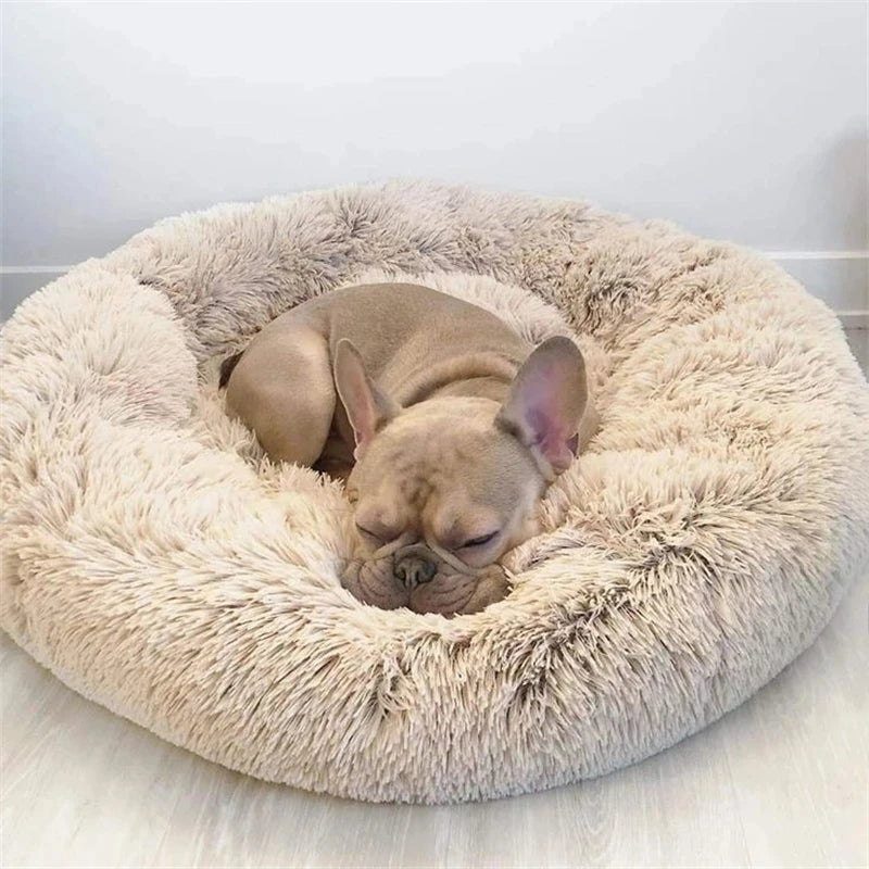 Plush Donut Cat Dog Bed