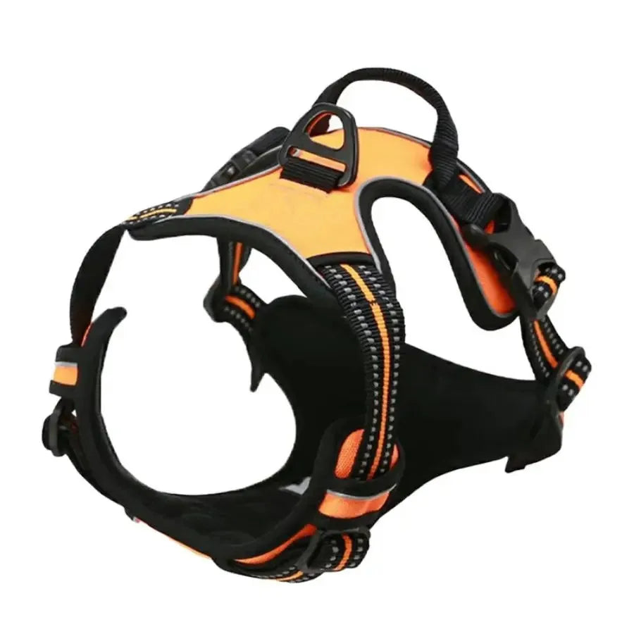 Dog Harness Collar Set