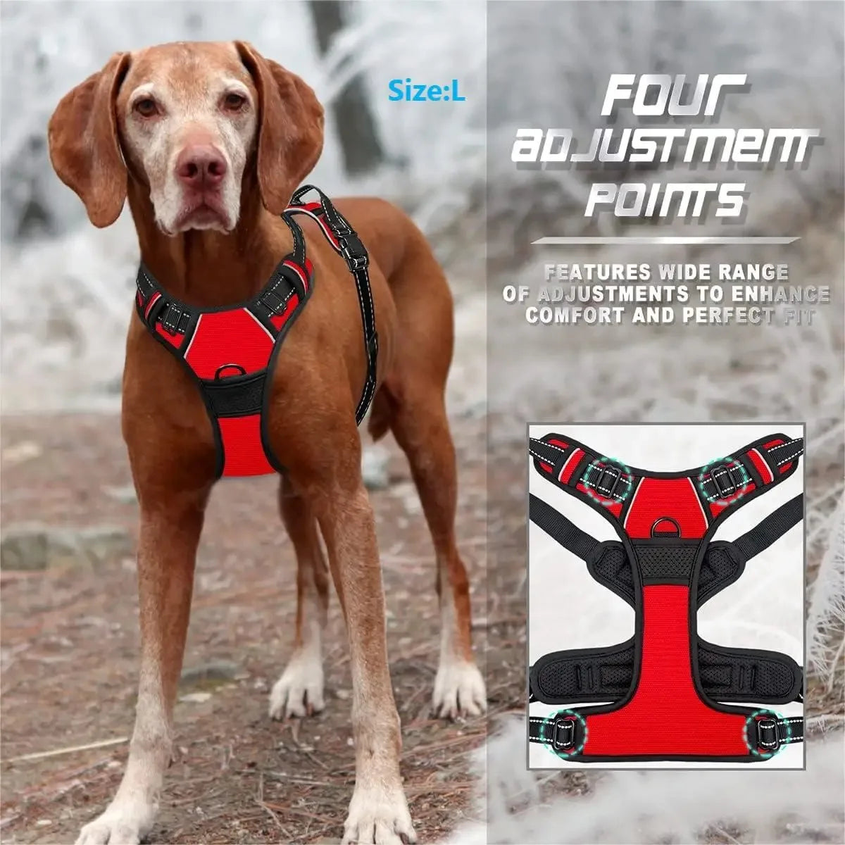 Dog Harness Collar Set