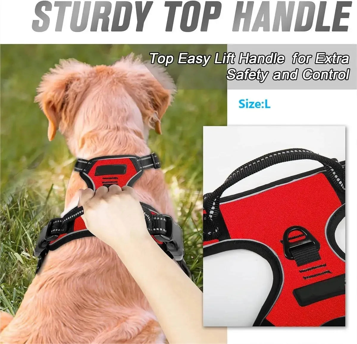 Dog Harness Collar Set