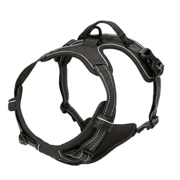 Dog Harness Collar Set