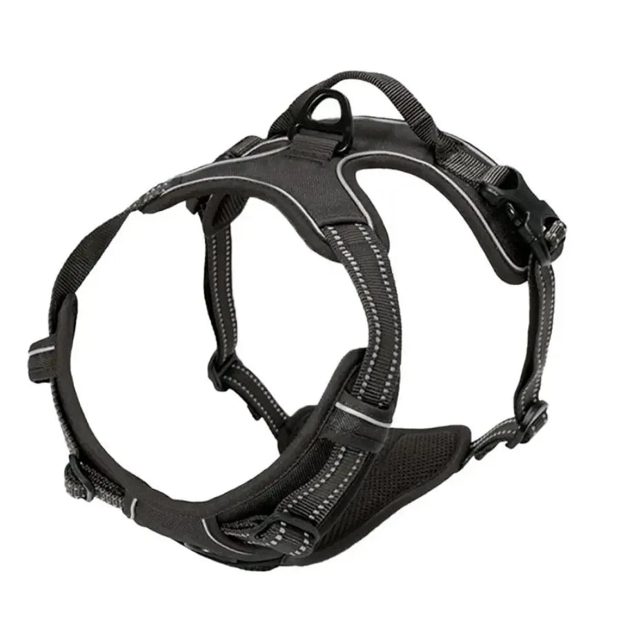 Dog Harness Collar Set