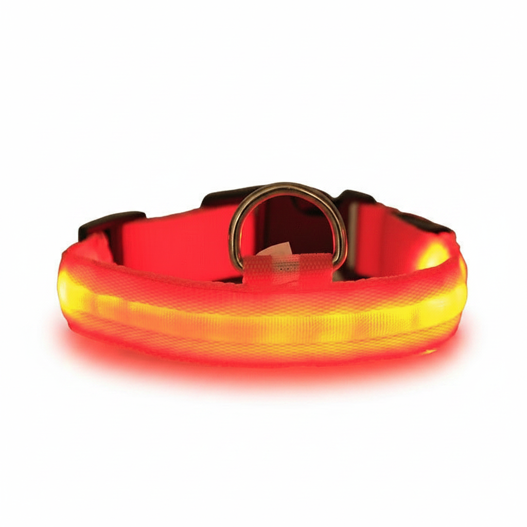 Red LED Dog Collar Pure White Background
