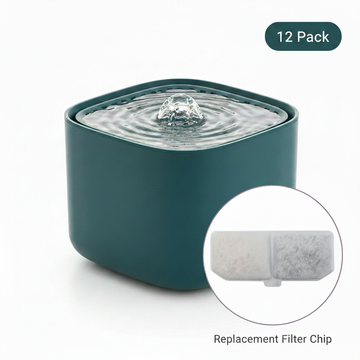 Teal Fountain with Filter Label and 12 Pack Badge